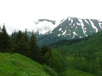 Along the Johnson Pass Trail